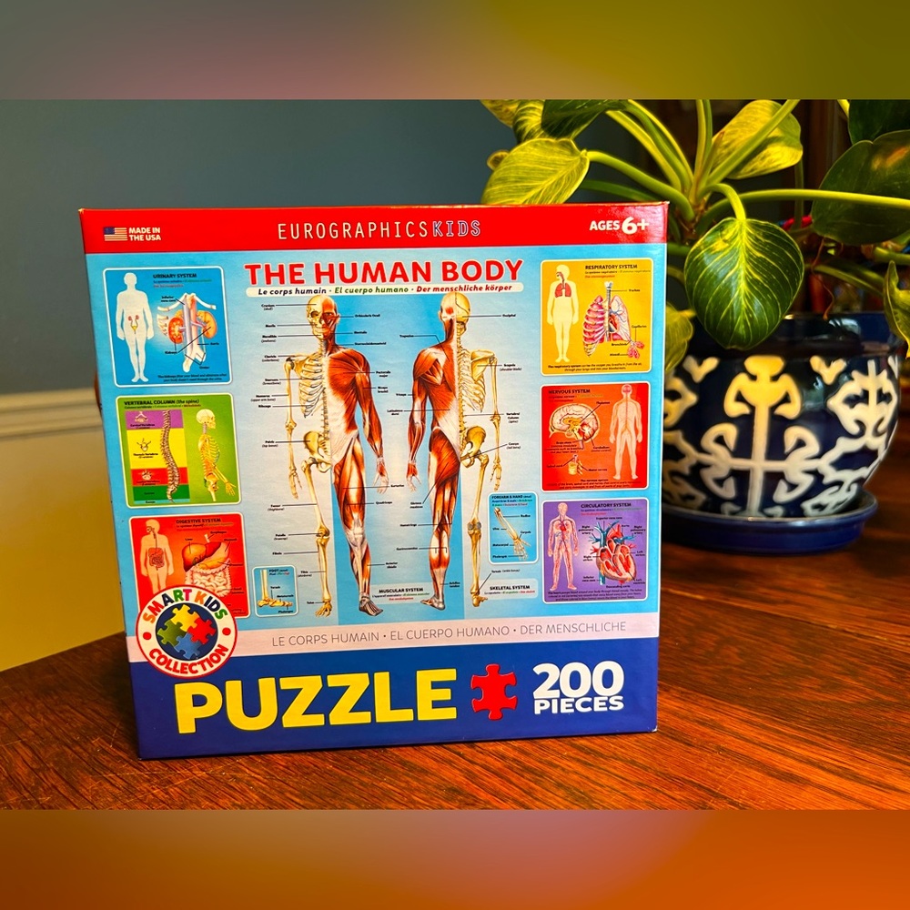 Kids Anatomy Puzzle